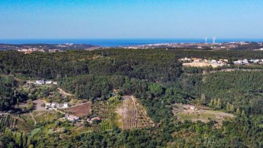 Annonce Vente Terrain Mafra