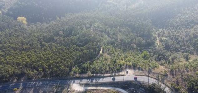 Acheter Terrain 32767 m2 Mafra