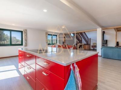 Acheter Local commercial Lagos rgion FARO