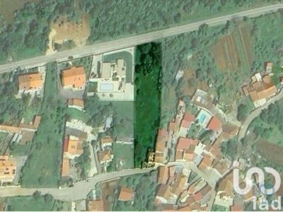 Annonce Vente 5 pices Maison Coimbra