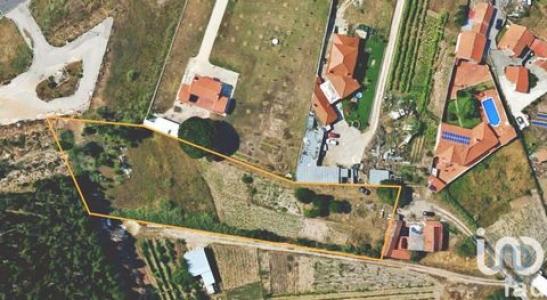 Annonce Vente Terrain Caldas-da-rainha