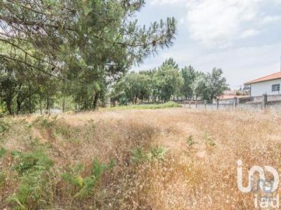 Acheter Terrain 702 m2 Marinha-grande