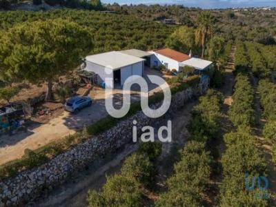 Annonce Vente Maison Alcantarilha