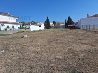 Annonce Vente Terrain Constancia