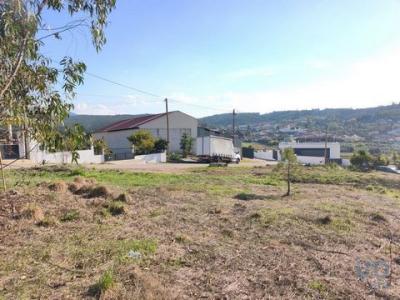 Annonce Vente Terrain Anadia