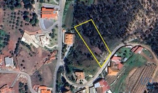 Acheter Terrain Anadia rgion AVEIRO