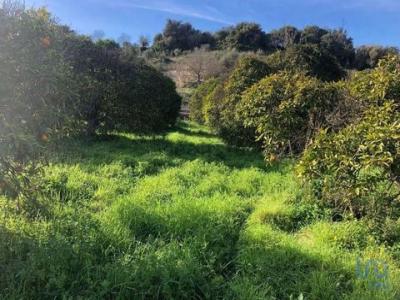 Acheter Terrain 1120 m2 Albufeira