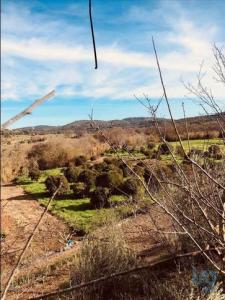 Acheter Terrain Albufeira rgion FARO