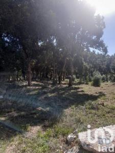 Acheter Terrain Alcobaca rgion LEIRIA
