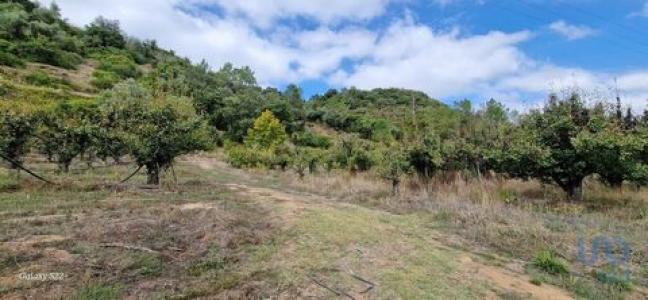 Annonce Vente Terrain Mafra