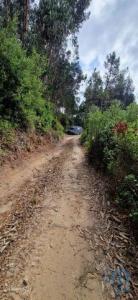 Acheter Terrain 18259 m2 Mafra