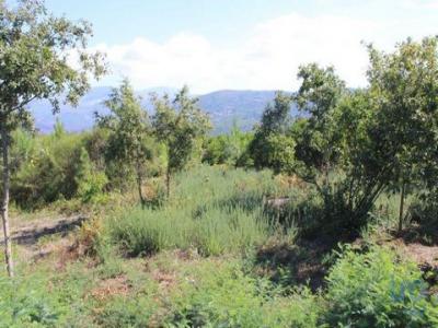Vente Terrain Andorinha LAGOS-DA-BEIRA-E-LAJEOSA 06