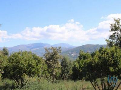 Acheter Terrain Andorinha rgion COIMBRA