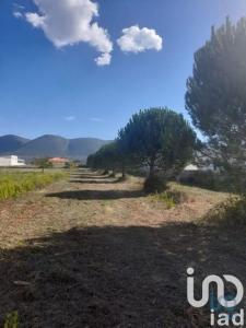 Vente Terrain Alcobaca ALJUBARROTA 10 au Portugal