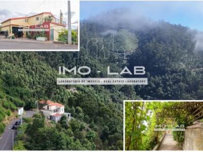 Annonce Vente Maison Ribeira-brava