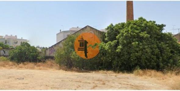 Acheter Terrain 832 m2 Olhao