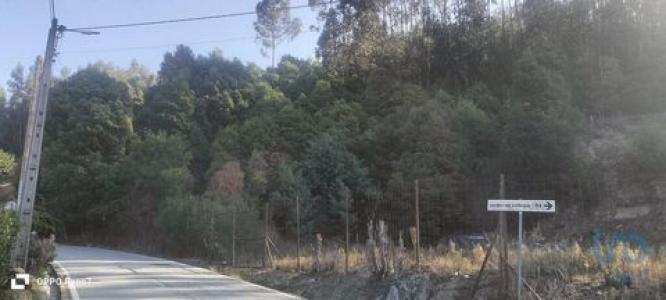 Acheter Terrain 3630 m2 Penafiel