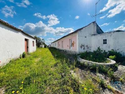 Acheter Maison 213 m2 Santarem
