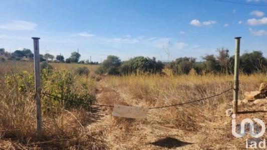 Annonce Vente Terrain Alcantarilha