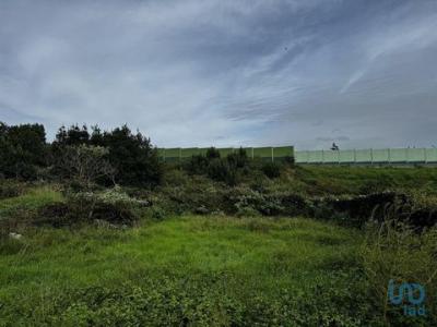 Acheter Terrain 1092 m2 Agua-de-pau