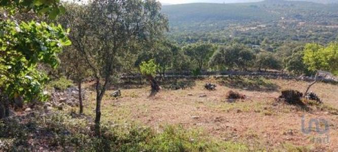 Annonce Vente Terrain Loule