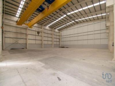 Location Maison Marinha-grande MARINHA-GRANDE 10