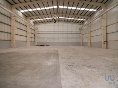 Louer Maison 957 m2 Marinha-grande