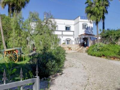 Acheter Maison 335 m2 Moncarapacho