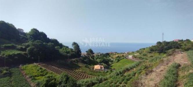 Acheter Maison Ponta-do-sol rgion MADEIRA