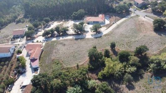 Acheter Terrain Rio-maior rgion SANTAREM