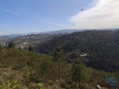 Acheter Terrain 12000 m2 Marco-de-canaveses