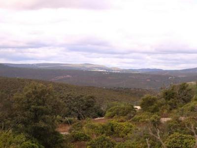 Annonce Vente Terrain Loule