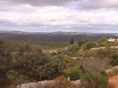 Acheter Terrain 5777 m2 Loule