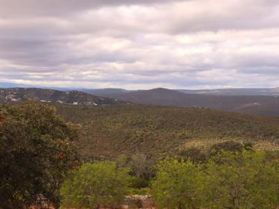 Acheter Terrain Loule rgion FARO