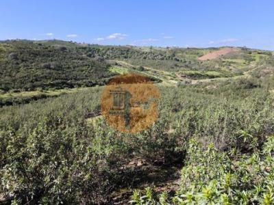 Acheter Terrain 32767 m2 Castro-marim
