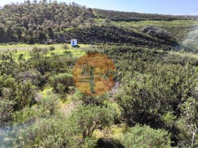 Acheter Terrain Castro-marim rgion FARO