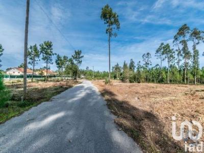 Vente Terrain Agua-formosa MONTE-REDONDO-E-CARREIRA 10 au Portugal