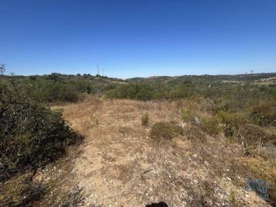Vente Terrain Vila-do-bispo BARAO-DE-SAO-MIGUEL 08 au Portugal