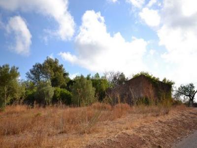 Annonce Vente Terrain Loule