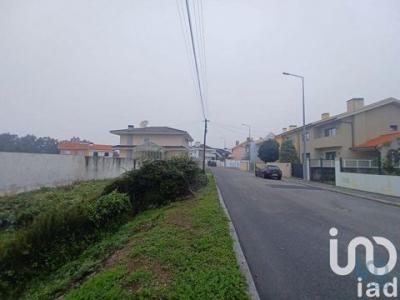 Vente Terrain Arnelas SERZEDO-E-PEROSINHO 13 au Portugal