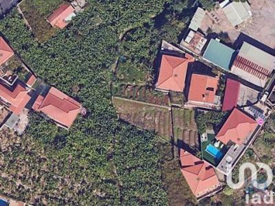 Annonce Vente Terrain Funchal