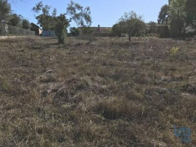 Annonce Vente Terrain Abades