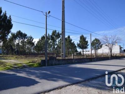 Annonce Vente Terrain Marinha-grande