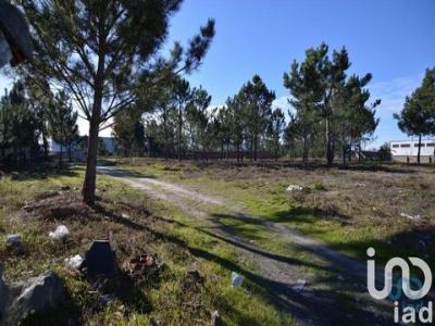 Acheter Terrain 6250 m2 Marinha-grande