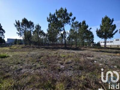 Acheter Terrain Marinha-grande rgion LEIRIA