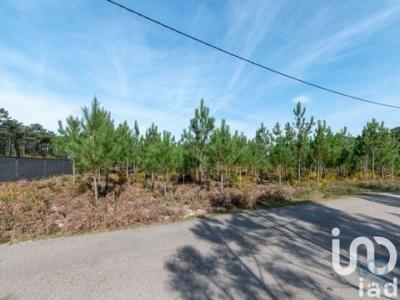 Annonce Vente Terrain Marinha-grande