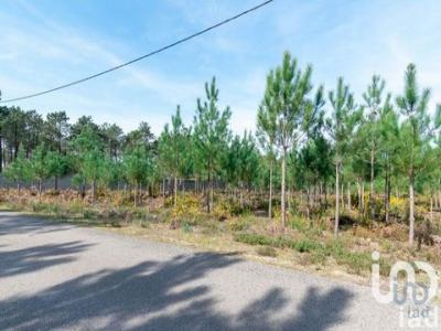 Acheter Terrain 19100 m2 Marinha-grande