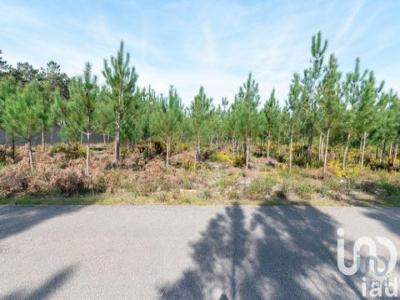 Acheter Terrain Marinha-grande rgion LEIRIA