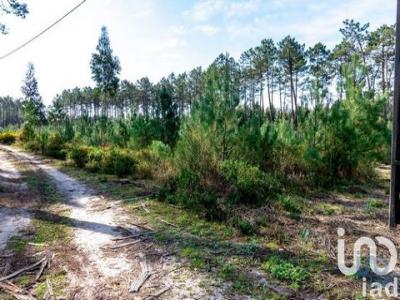 Annonce Vente Terrain Marinha-grande