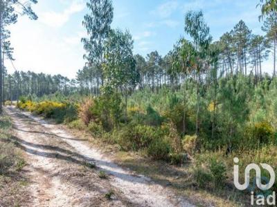 Acheter Terrain Marinha-grande rgion LEIRIA